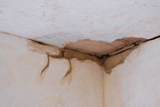 Best Flooded house restoration  in Towanda, PA