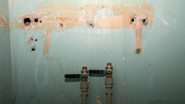 Best Local water damage restoration  in Towanda, PA