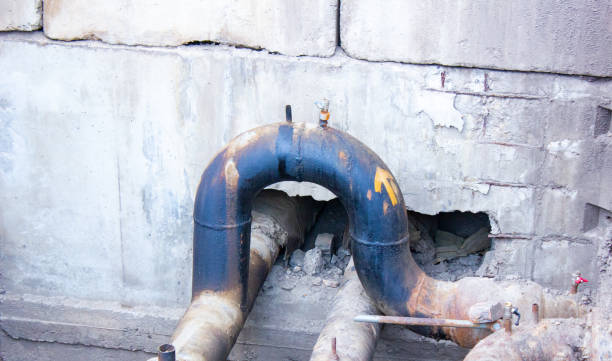 Best Mold removal after water damage  in Towanda, PA