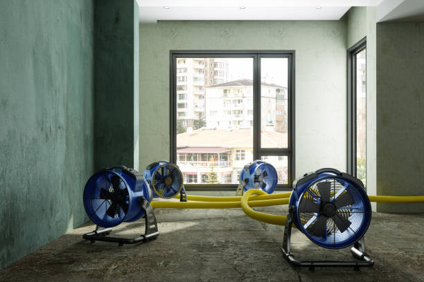 Best Fire Damage Restoration  in Towanda, PA